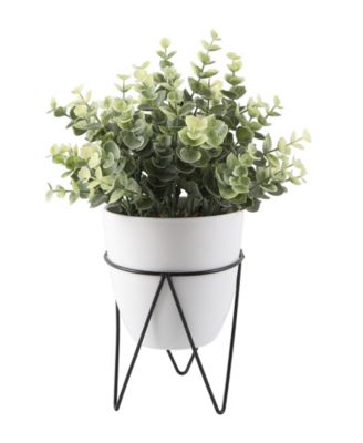 Flora Bunda