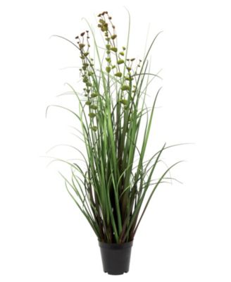 Vickerman