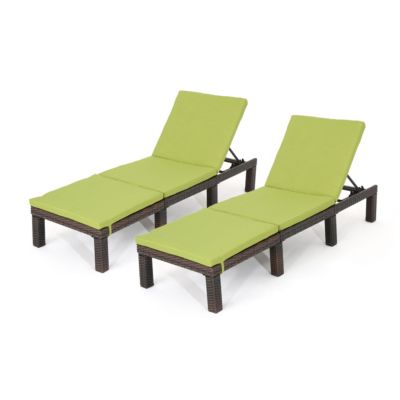 Noble House - Jamaica Outdoor Chaise Lounge, Quick Ship (Set of 2)