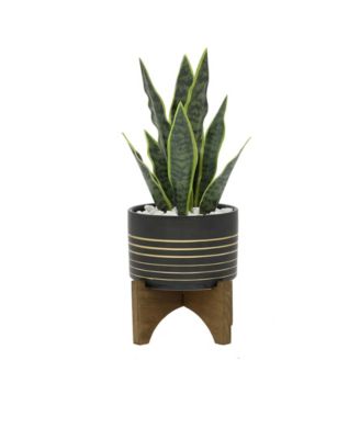 Flora Bunda