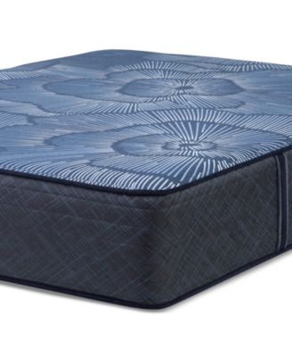 Serta - Perfect Sleeper Euphoric Nights 14" Plush Hybrid Mattress, Twin XL
