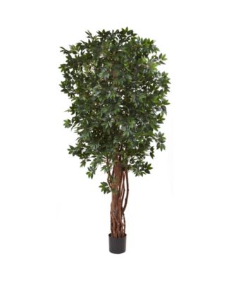 Nearly Natural - 7.5' Lychee Silk Tree